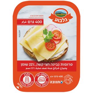 גבינה צהובה גלבוע 22% שומן 400 גרם
